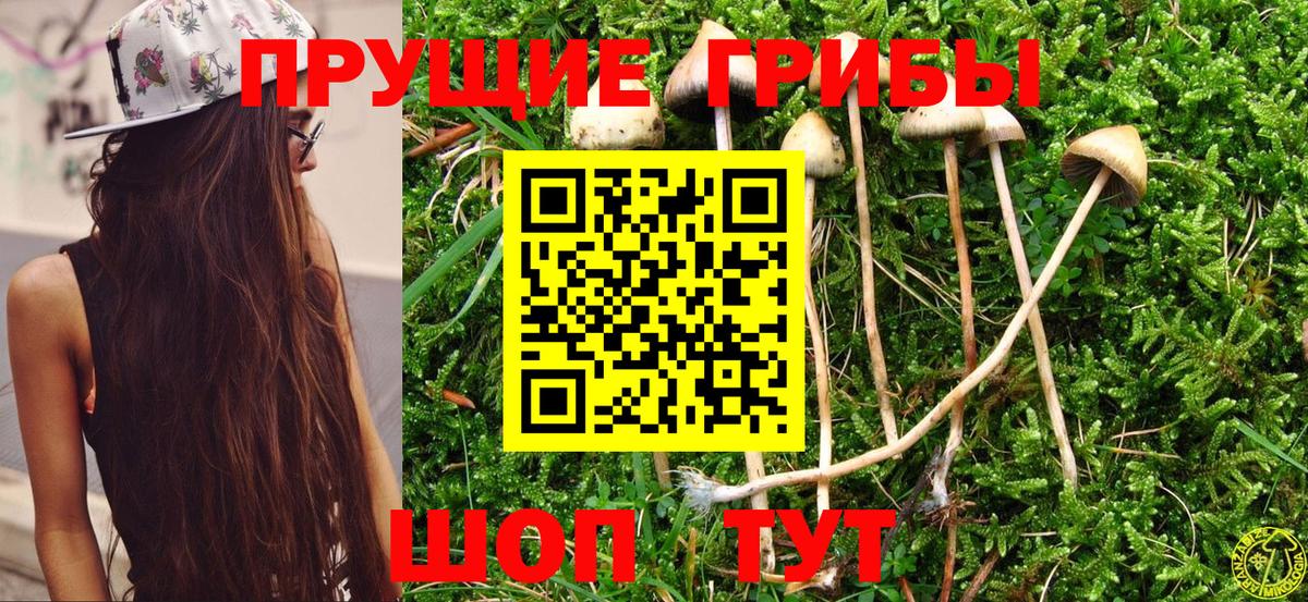 Галлюциногенные грибы Magic Shrooms  Псилоцибиновые грибы мухоморы  Вход с VPN  Приморско-Ахтарск 