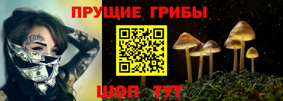 Псилоцибиновые грибы Cubensis Приморско-Ахтарск