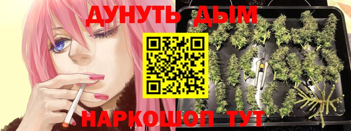 Каннабис White Widow Приморско-Ахтарск